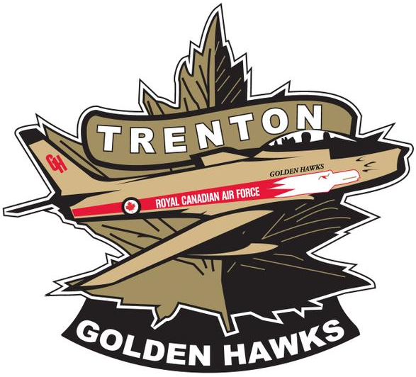Trenton Golden Hawks 2015-Pres Primary Logo iron on transfers for T-shirts